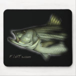 FishHeads Collection by FishTs.com