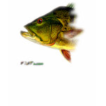 FishHeads Collection by FishTs.com