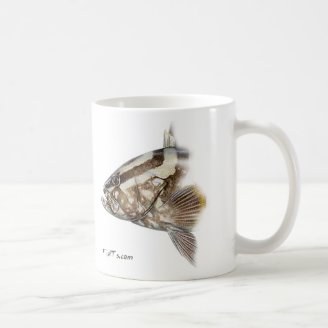 FishHeads-Nassau Grouper Mugs
