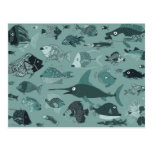 Fishies postcards