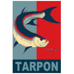 Fishin Icons Collection