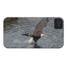 Fishing Bald Eagle & Coastal Waters iPhone Cases iPhone 4 Case