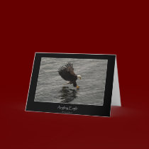 Fishing Bald Eagle Gift Set cards