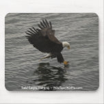 Fishing Bald Eagle Gift Set mousepads