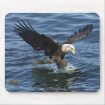 Fishing Bald Eagle Wildlife Mousepad