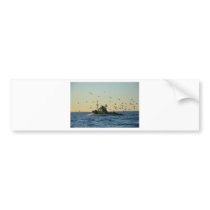 Fishing boat and a flock of gulls. bumper sticker