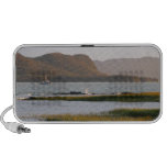 Fishing Boat Scene Speaker