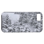 Fishing Boat, Winter Forest, Christmas Snowstorm iPhone 5 Cases