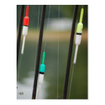 Fishing Bobbers Postcard