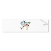 Fishing bumper stickers