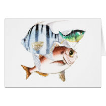Fishing cards