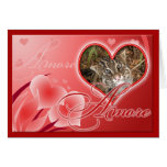 fishing-cat-00066-65x45 greeting cards