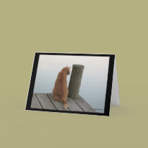 Fishing Cat Greeting Card