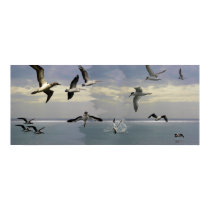 Fishing Championship posters
