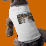 FISHING pet clothing