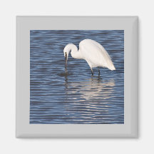 Fishing Egret Magnets