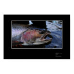 Fishing for steelhead in BC Posters