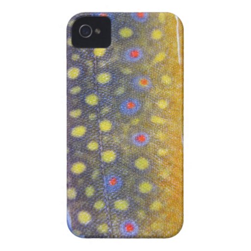 Fishing Fury iPhone 4/4S Case (Brook Trout) iPhone 4 Case-Mate Case