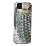 Fishing Fury iPhone 4/4S Case (Tarpon) iPhone 4 Covers