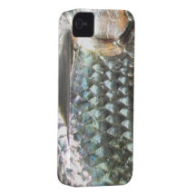 Fishing Fury iPhone 4/4S Case (Tarpon) iPhone 4 Covers