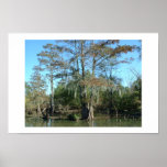 fishing in the bayou  print