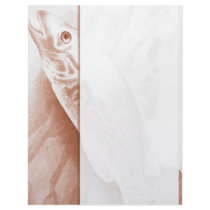 Fishing Letterhead