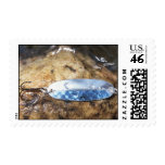 lure, lures, fishing, fisherman, bobber, sinker,