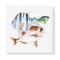 Fishing magnets