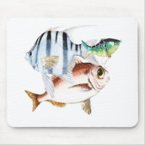 Fishing mousepads