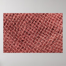 Fishing nets posters