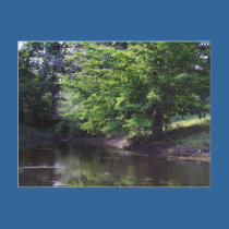 Fishing Pond postcards