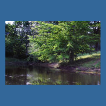 Fishing Pond posters