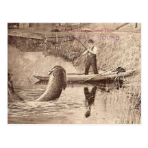 Fishing... Post Cards