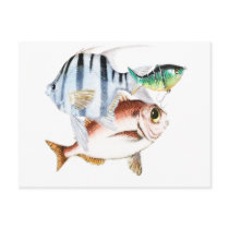 Fishing postcards