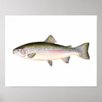 Fishing poster - Rainbow Trout Fish