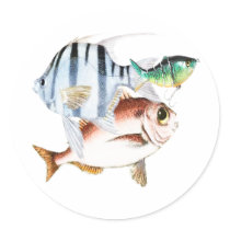 Fishing stickers
