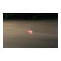Fishing with Dad posters by EnMotion Fishing with Dad posters