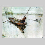 Fishing with Nets 1905 postcards