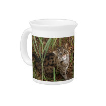 FishingCat001 pitchers