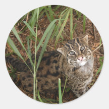 FishingCat001 Round Sticker