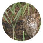 FishingCat001 Round Sticker