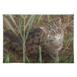 FishingCat002 Place Mat