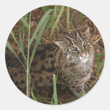 FishingCat002 Stickers