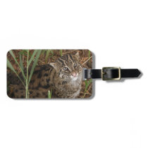 FishingCat002 luggage tags