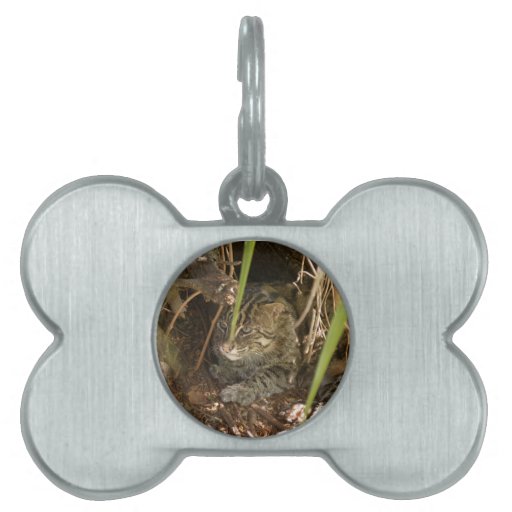 FishingCat005 Placa De Mascota