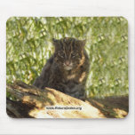 FishingCat006 copy Mousepads