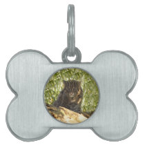 FishingCat006 pet tags