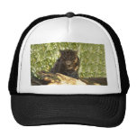 FishingCat006 Trucker Hats