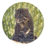 FishingCat007 Sticker