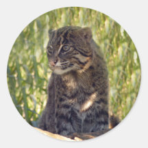 FishingCat007 Sticker